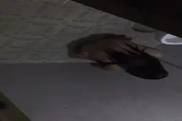 Dokumentasi Gadis Cantik Live Kasur Mandi
