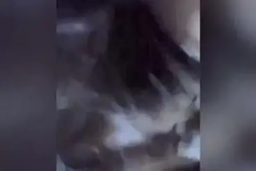Dokumentasi Gadis Cantik Live Kasur Mandi