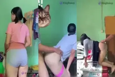 Dokumentasi Gadis Cantik Live Kasur Template
