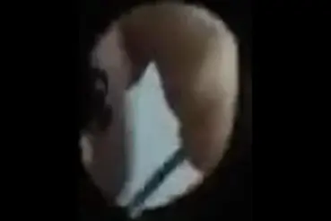 Gadis Pembantu Cantik Pasrah Goyang Kasur